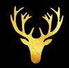 goldenroyalcafe.id